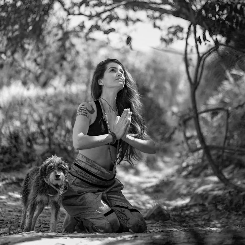 Silhouette of a person in a balanced tree yoga pose against a calm background.